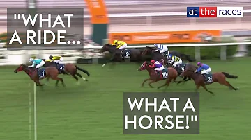 "WHAT A RIDE, WHAT A HORSE!" | Romantic Warrior wins the FWD QEII Cup