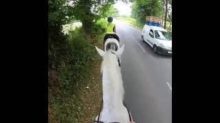 Advert ref 280871 video 2
