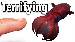 The Insane Biology Of Vampire Squid