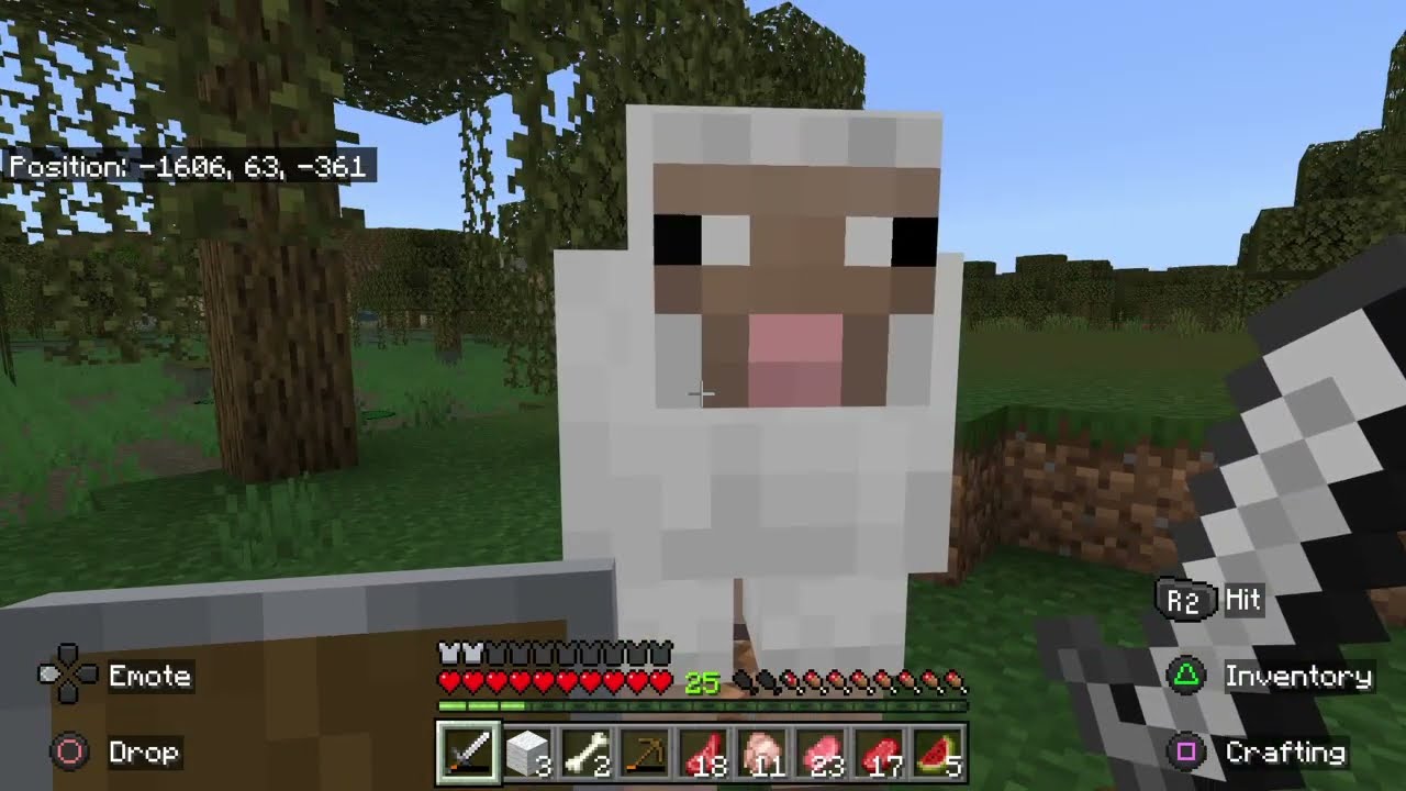 Bros life flashed before his eyes before dying in peace