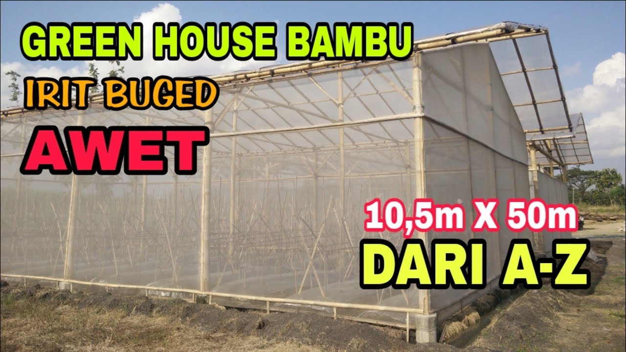 CARA MEMBUAT GREENHOUSE MELON EXCLUSIVE DARI BAMBU KUALITAS PREMIUM