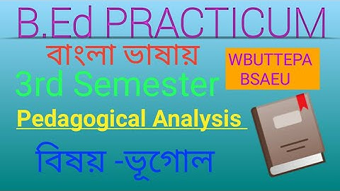 Pedagogical Analysis। B.Ed 3rd Semester Practicum। Geography