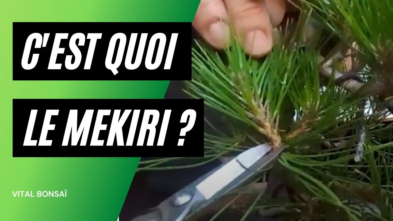 MEKIRI, comment je FAIS sur mes PINS.