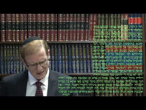Bekhorot 20a - Youtube