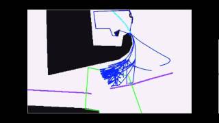 Multi-camera tracking using a multi-goal social force model