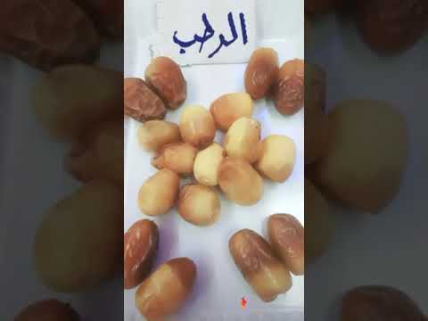 فوائد الرطب