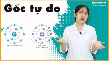 Giải đáp gốc tự do là gì từ chuyên gia giúp bạn có sức khỏe tuyệt vời từ bên trong