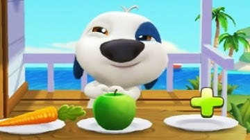 My Talking Hank gameplay 2 - ios android games - my talking tom and friends new episode