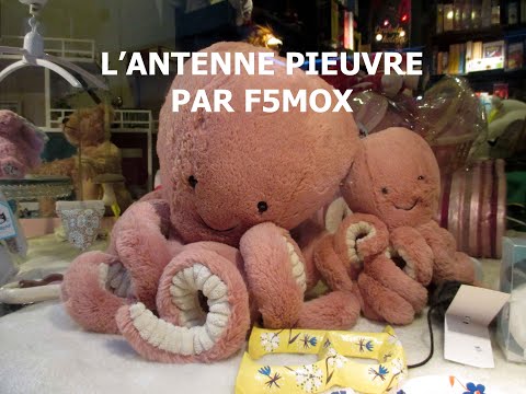 L' ANTENNE PIEUVRE PAR F5MOX GERARD