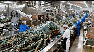Inside a Lobster Farming  Export Factory ( Full Process )