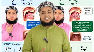 Makhraj of Ayn(ع)and Ḥā(ح)Ayn (ع)The letter Ayn(ع)comesfrom the middle part of the throat(وسط الحلق)