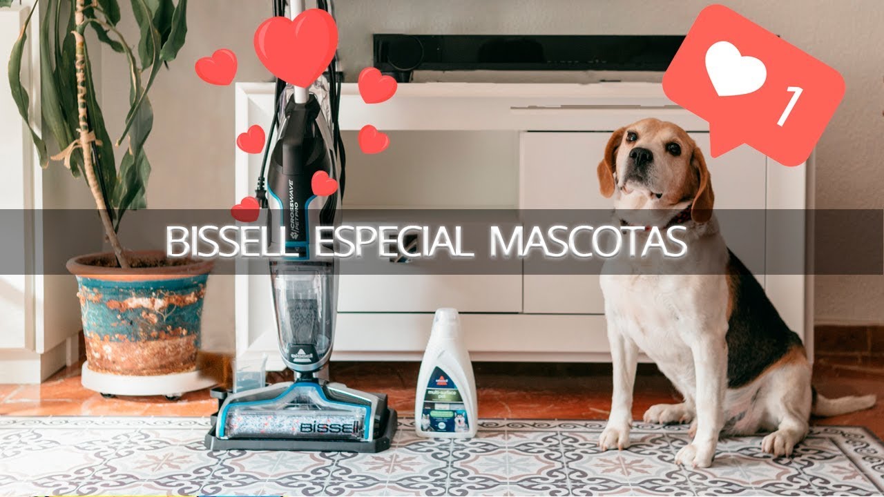 Bissell especial mascotas ¡increíble! - Saquitodecanela