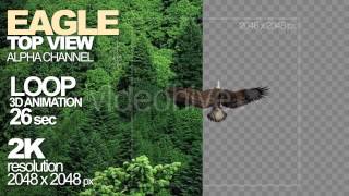 Eagle Loop Top View - Motion Graphic