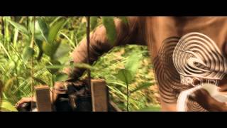 OuTrops Reforestation Project @BorneoNatureFoundation
