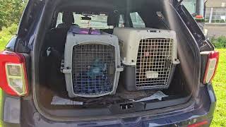 Ruby the Redbone is on her way to Newfoundland after a few technical troubles