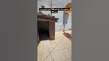 ربطتهوم باش نغسلهوم كيهربو Rottweiler Rottweilerpuppy Rottweilerworld Dog Malinoismonday 