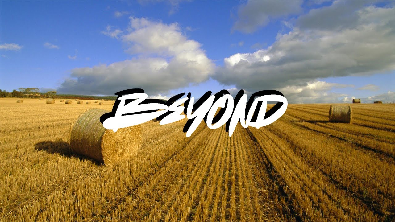 Evock - Organic Swap