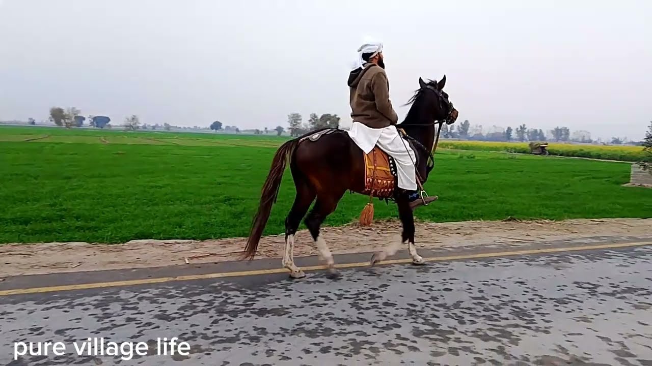 Village Life | Simple Rural Living, Hard Work & Peaceful Nature