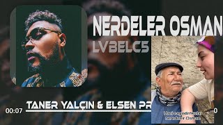 LVBEL C5 - Hani Çağırdığın kızlar Nerdeler Osman ( Taner Yalçın & Elsen Pro Remix ) Tiktok Viral RMX Resimi