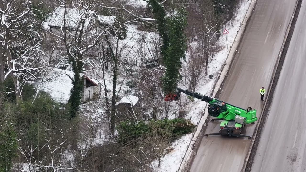 28.1.26 Rodungen an den Kleingartenanlage in Hannover Ricklingen am Südschnellweg in der Leinemasch
