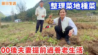 00後夫妻提前過養老生活，打造了度假屋，也整理菜地準備種菜