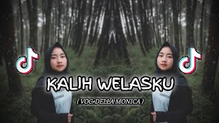 Dj Kalih Welasku Denny Caknan Bass Mengkane  Cover Della Monica 