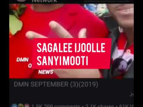 Kotaa Kolfaa Mee Ijolee Afaan Arbifaa Rakkasee Jiraa 