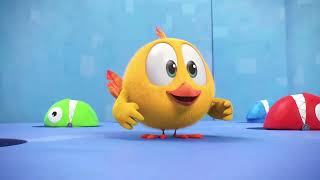 Wheres Chicky Tv Its Cartoon Time Live Seasons 1-4 All Episodes