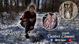 TKP Pembunuhan Burung Hantu: Siapa yang Membunuh Burung Hantu Jerit? | Outdoor Elements