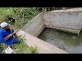 Indian Eel Fishing|Cat Fish And Baam Fish Catching|We Are Catching The 3Types Of Fishes|Baam Fishing