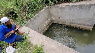 Indian Eel Fishing|Cat Fish And Baam Fish Catching|We Are Catching The 3Types Of Fishes|Baam Fishing
