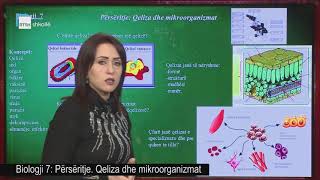 Biologji 7 - Përsëritje. Qeliza dhe mikroorganizmat.
