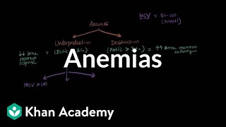 Microcytic, normocytic, and macrocytic anemias | NCLEXRN | Khan Academy