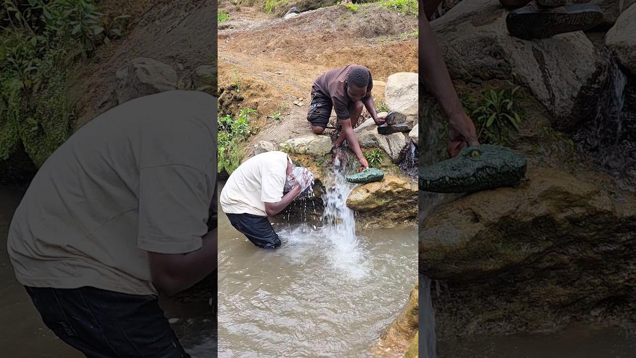 fake crocodile prank