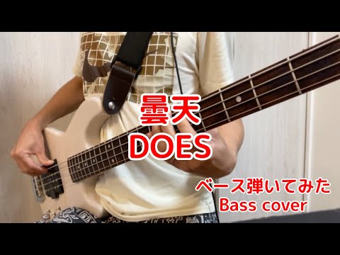 曇天 / DOES ベースで弾いてみた【Bass Cover ベースカバー】