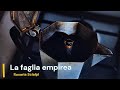 La faglia empirea, Rosaria Scialpi - corto di presentazione, Brè Edizioni #poesiaitaliana #poesia