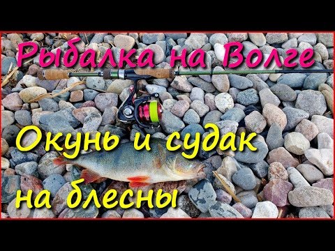 Ловля окуня и мелкого судака на блесну. Лайт спиннинг в июле.