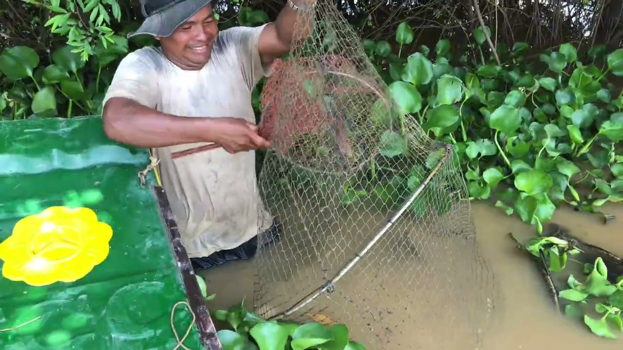 Go  catching fish for food in the Tonle Sap Lake