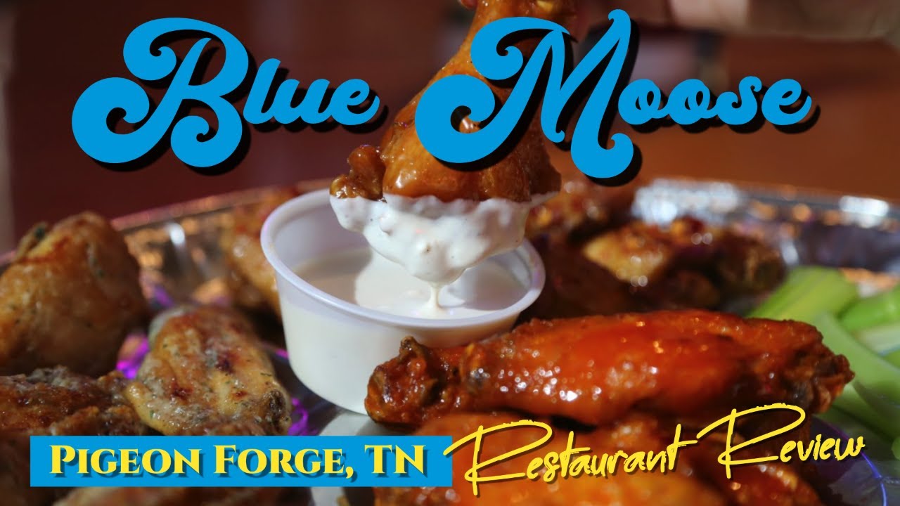 Blue Moose Burgers and Wings - Restaurant Review - Pigeon Forge, TN