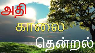 KAALAI NERA PAADALGAL /TAMIL CINEMA SONGS /TAMIL HITS /ILAYARAJA MORNING MELODY /GOOD MORNING SONGS screenshot 3