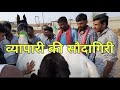 व्यापारी की दिलचस्प सौदागरी | chetak festival sarangkheda 2019 | pkraj vlogs | best horse