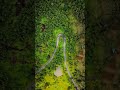 Palghar Drone video | Vangaon | Wadhwan Beach | Boisar | Palghar District | Sea Shore