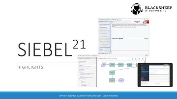 Siebel CRM 21 Highlights Reel