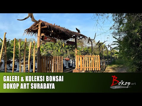 GALERI & KOLEKSI BONSAI BOKOP ART SURABAYA