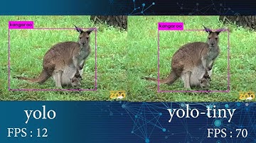 Yolo v3 vs Yolo-tiny v3: Realtime Custom Object Detection with Darknet