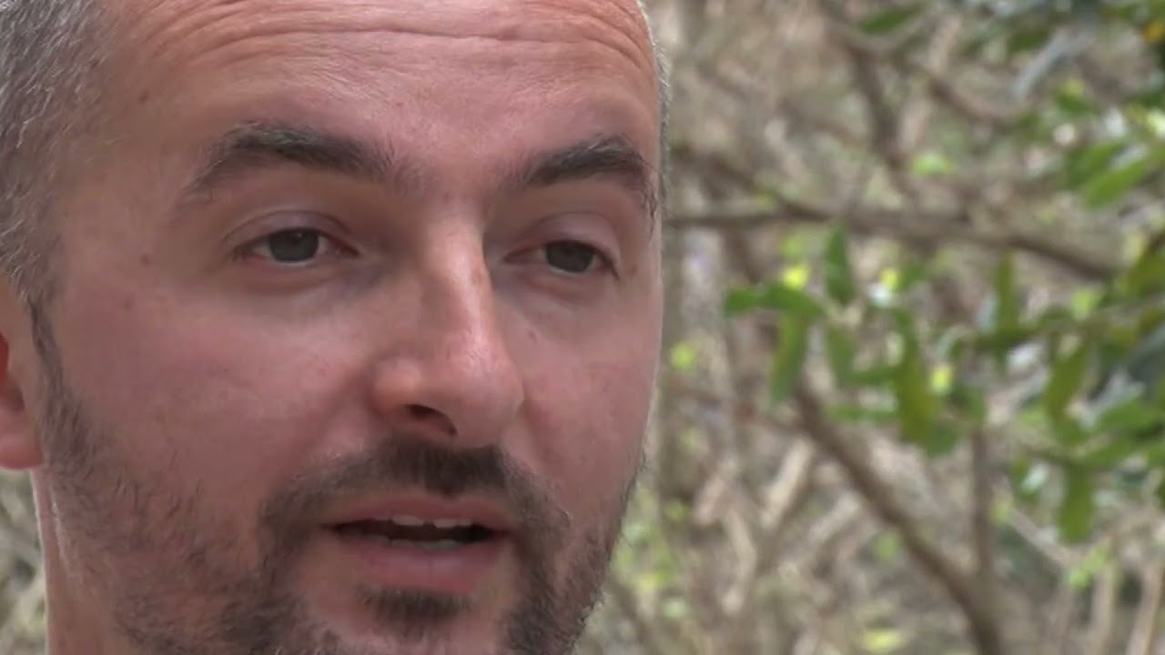 VIJESTI U POLA 7 -  POTKORNJAK I KRIVIČNE PRIJAVE | Vijesti online