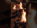 Nanacore: Didn't even see the boss dying LOL | #nanaei_owo on #Twitch