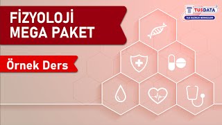 Mega Paket Fizyoloji Hızlı Tekrar Hücre Histolojisi Ve Fizyolojisi
