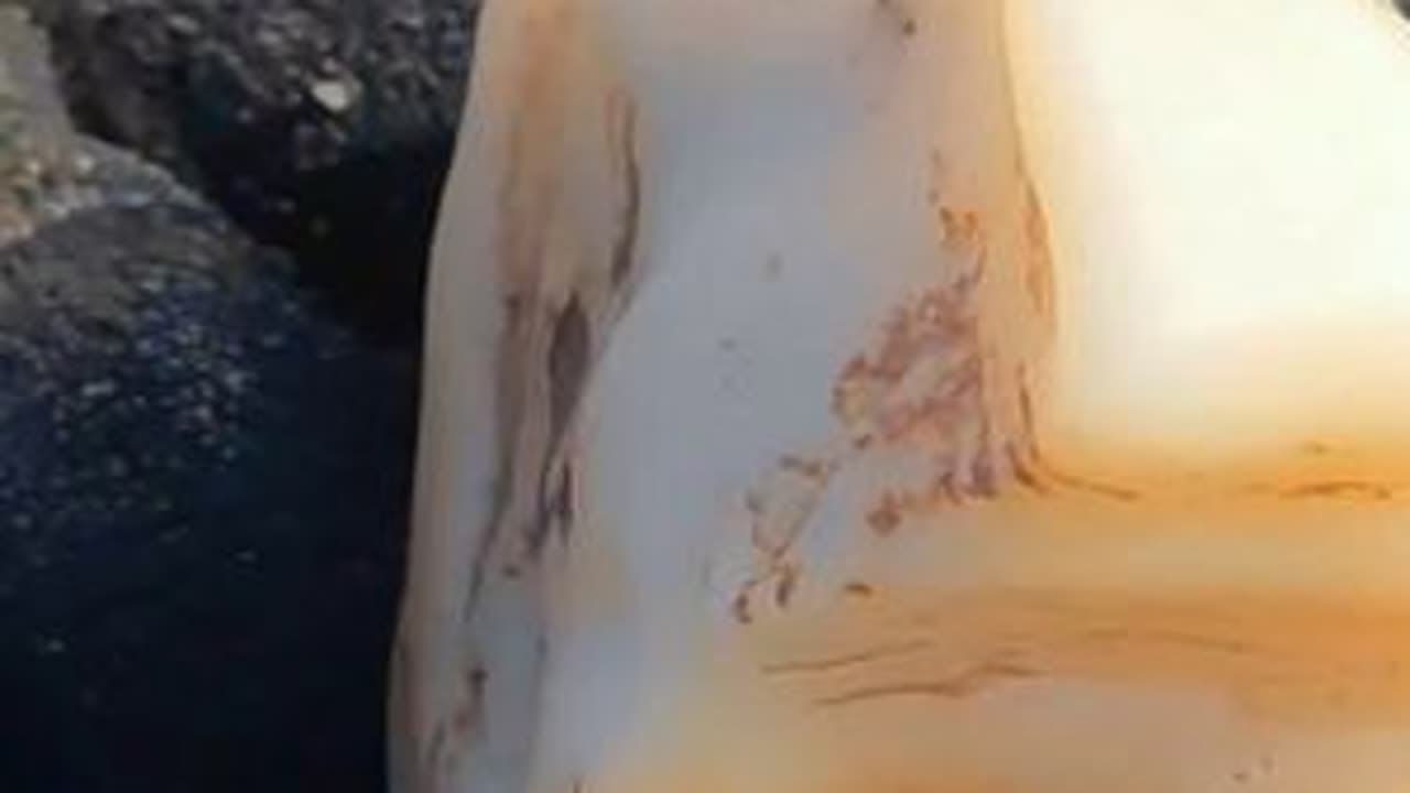 这次收获还不错，又捡了几块好石头 