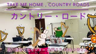 ベイビーハープ講座の生徒さん演奏③